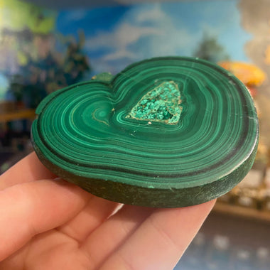 Malachite slice raw cluster unique design heart shape 215 grams + FREE wood stand